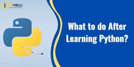 What Should I Do After Learning Python